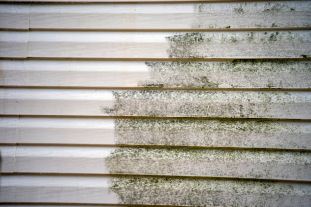 Best Stone Veneer Siding  in Mayfield, OH